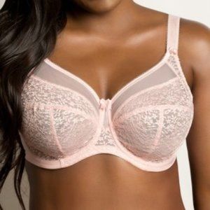 44DD Goddess Adelaide Plus Size Bra